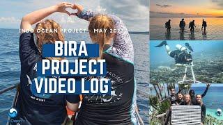 Indo Ocean Project - Bira Project Video Log May 2023