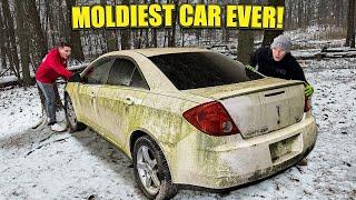 Disaster Barnyard Find | Moldiest G6 EVER! | ABANDONED In Woods! | Car Detailing Restoration