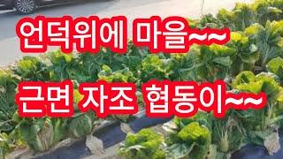 귀농귀촌추천 충북시골마을 보은군 *탄부면* 장암리