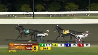 New Jersey Sire Stakes Final - Artspeak - May 30, 2015