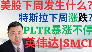 美股912|美股下周发生什么?PLTR暴涨不停,英伟达回来了?特斯拉下周暴涨还是暴跌?SMCI机遇还是风险? #tsla #nvda #pltr #smci #美股分析 #drmikeinvest