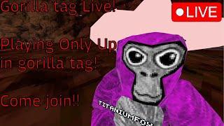 PLAYING GORILLA TAG ONLY UP COME JOIN!! SUB=FALL(#gorillatag)