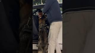 ONLY IN MONACO #monaco #billionaires #supercars #rich #shorts #dog