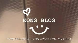 vlog｜직장인 브이로그(경리업무,마케팅업무,출근룩,승진,명함지갑,프로야근러)