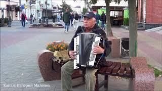 Мне девки ноги целовали как шальные... Buskers! Street! Music!