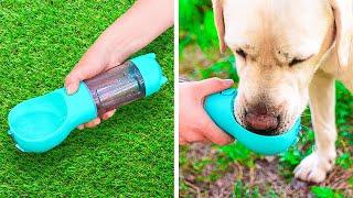 AWESOME GADGETS AND HACKS EVERY PET OWNER SHOULD SEE