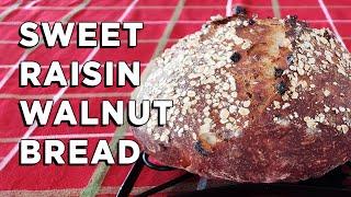 Sweet Raisin Walnut Bread Made Easy - Simple No-Knead Recipe