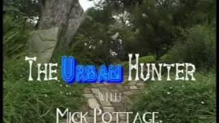 The Urban Hunter - 1 MINUTE MORSEL