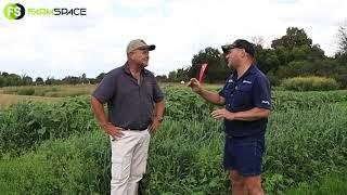 Willem Nel from Agricol about the tropical grass for strip grazing.