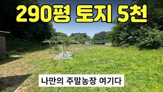 거래완료5천만 원에 나만의 주말농장을!? 저렴한 가격에 토지를 마련할 수 있는 기회! 도로 접한 땅, 주차 가능, 조용한 마을, 소액 투자, 주말체험영농 취득 충주토지매매