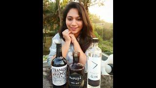 Indian Craft Gins: All you need to know