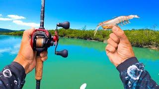 Chasing Giants in a Saltwater Creek System.