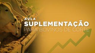 Aulão completo de Suplementação de Bovinos de Corte