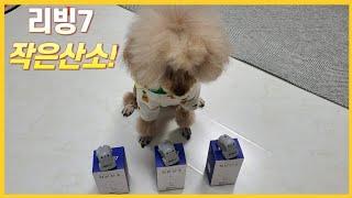 강아지냄새를 제거할때는? 소형공기청정기 리빙7이 있다!