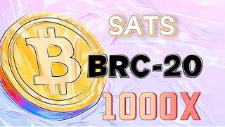 sats比特聪brc20铭文龙头，#sats币#最新消息，sats是什么，sats可以长期持有吗！