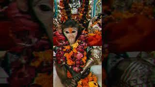 Jai shree ram bhakti#shortvideo#viralshorts#shorts #viral