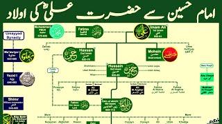 Family Tree of Hazrat Ali | Lineage of Imam Hussain | Nasheed by @calmislamicmusic