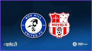 2024 NPLWVIC Round 17: Box Hill United FC v Essendon Royals SC