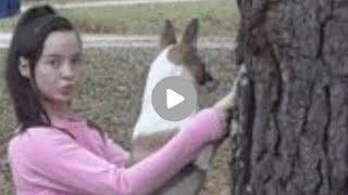 Mississippi woman Denise frazier dog full video