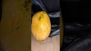 Chill With Mango  Juice|Flavour Ever Buddy #juice #mango #food #shorts #viral #subscribe #delicious