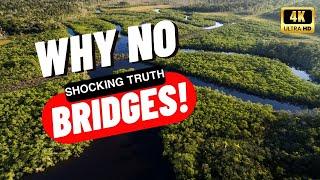 The Amazon River Mystery: Why No Bridges Exist!