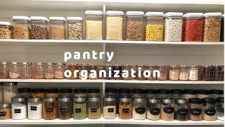 Pantry Organization| How to Organize your Pantry | BlueMoon 