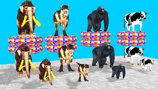 Choose The Right Mystery Obstacles With Gorilla cow cartoon mammoth elephant dinosaur animal games