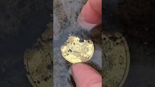 Gold coin in the river