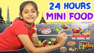 Eating only MINI FOOD for 24 Hours | MyMissAnand