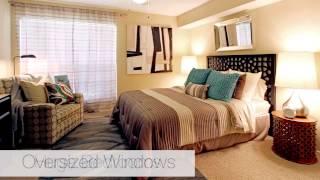 Waters of Winrock Apartments: Houston, Texas