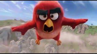 The Angry Birds Movie - Official® International Trailer [HD]