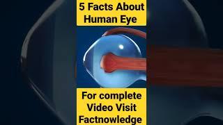 5 Human Eyes Facts #eyefacts #eyefact #shortsvideo #shorts #viralshort