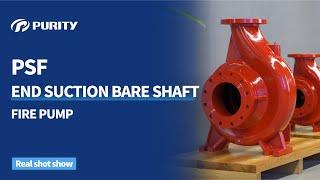 PURITY PSF End Suction Bare Sharft Centrifugal Pump #centrifugalpump #firepump #firesystem