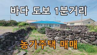 [제주도부동산,제주도농가주택] 제주도 서귀포시 바다와 도보로 1분거리에 있는 농가주택매매