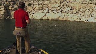 Uncovering New Bass Fishing Techniques