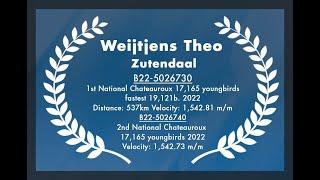 Weijtjens Theo - Zutendaal: 1st and 2nd Nat. Chateauroux 17,165 youngbirds -fastest 19,121b. 2022