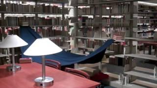 Five things to do in Olin Library when you are alone