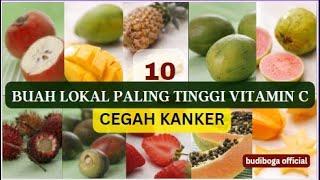 10 BUAH LOKAL PALING TINGGI VITAMIN C, BUAH APA PALING BANYAK VITAMIN C NYA ? BUAH MENCEGAH KANKER