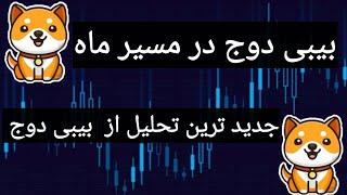 بیبی دوج به ماه میرسه | جدیدترین تحلیل از بیبی دوج کوین | اخبار بیبی دوج از شایعه تا واقعیت