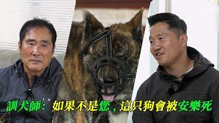 主人被狗咬斷大拇指后依舊愛狗如癡，訓犬師非但不責怪，還爲他放棄了原則，原來訓犬并不只是生搬硬套