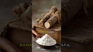 Сорняк для снижения сахара #здоровье #зож #рецепт #рецепты #ссср #совет #советы #полезно