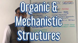 Organic vs. Mechanistic Structures - A Level Business