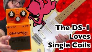 The DS-1 LOVES Single Coil Pickups