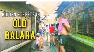 Walking the hidden streets in Old Balara, Quezon City