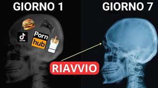 RIPROGRAMMA IL TUO CERVELLO (Ci vogliono solo 7 giorni) - Dr. Joe Dispenza