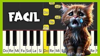 Miau miau miau - MIAW MIAW MIAW TIKTOK SAD SONG - Tutorial Piano Fácil - Easy Piano