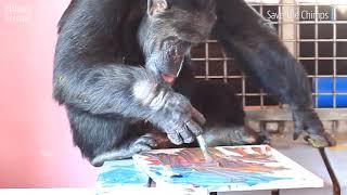 Check out this Miami Beach art exhibit made by chimpanzees