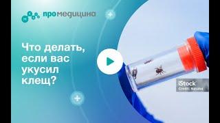 Что делать если вы обнаружили у себя на теле клеща?