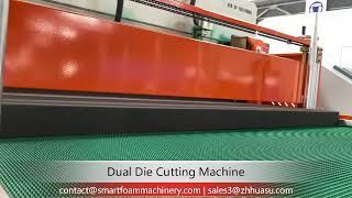 PU Foam  Die Cutting Machine(Dual Working Stataions)