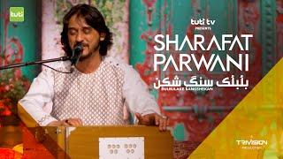 Bulbulake Sangshekan - Sharafat Parwani - Official Video / بلبلک سنگ شکن - شرافت پروانی